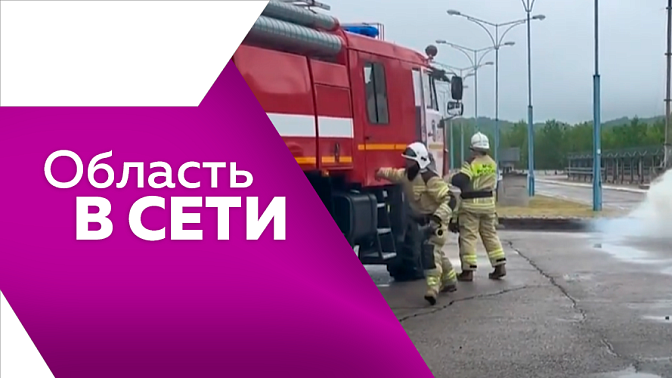 Область в сети. Масштабные антитеррористические учения провели на Бурейской ГЭС. Амурские спасатели испытали подводный дрон. В вольере Муравьёвского парка журавлиха снесла яйцо. 