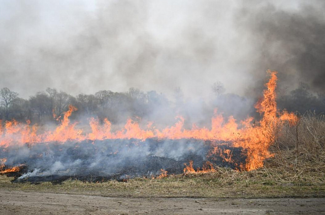 В Приамурье тушат три крупных пожара в Зейском и Магдагачинском округе
