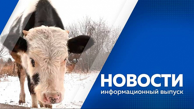 Новости. Общественный транспорт Приамурья переходит на экологически чистые виды топлива. В селе Амурское семья Усовых занимается разведением крупного рогатого скота. Ошибка пилотов - основная версия крушения Ан-24 возле Тынды.