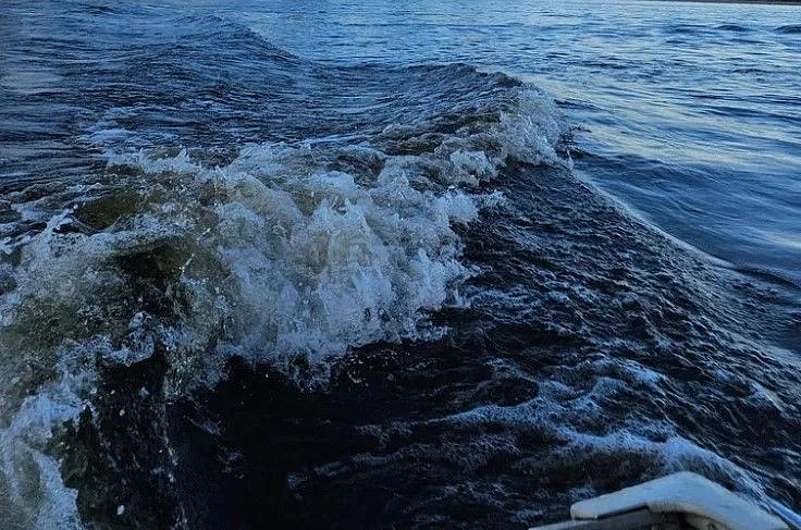 Фото: Амурассо