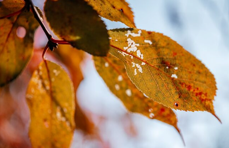 Фото: ru.freepik.com