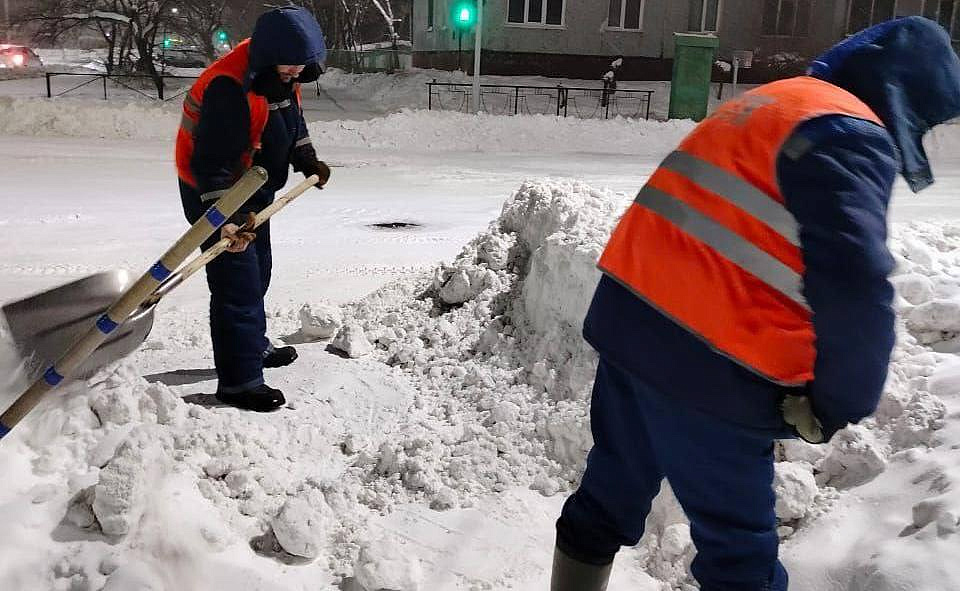 Фото: администрация Благовещенска