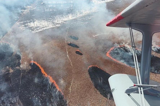 Двое виновников природных пожаров в Ромненском округе заплатят штраф и возместят более 700 тыс. руб затрат на тушение