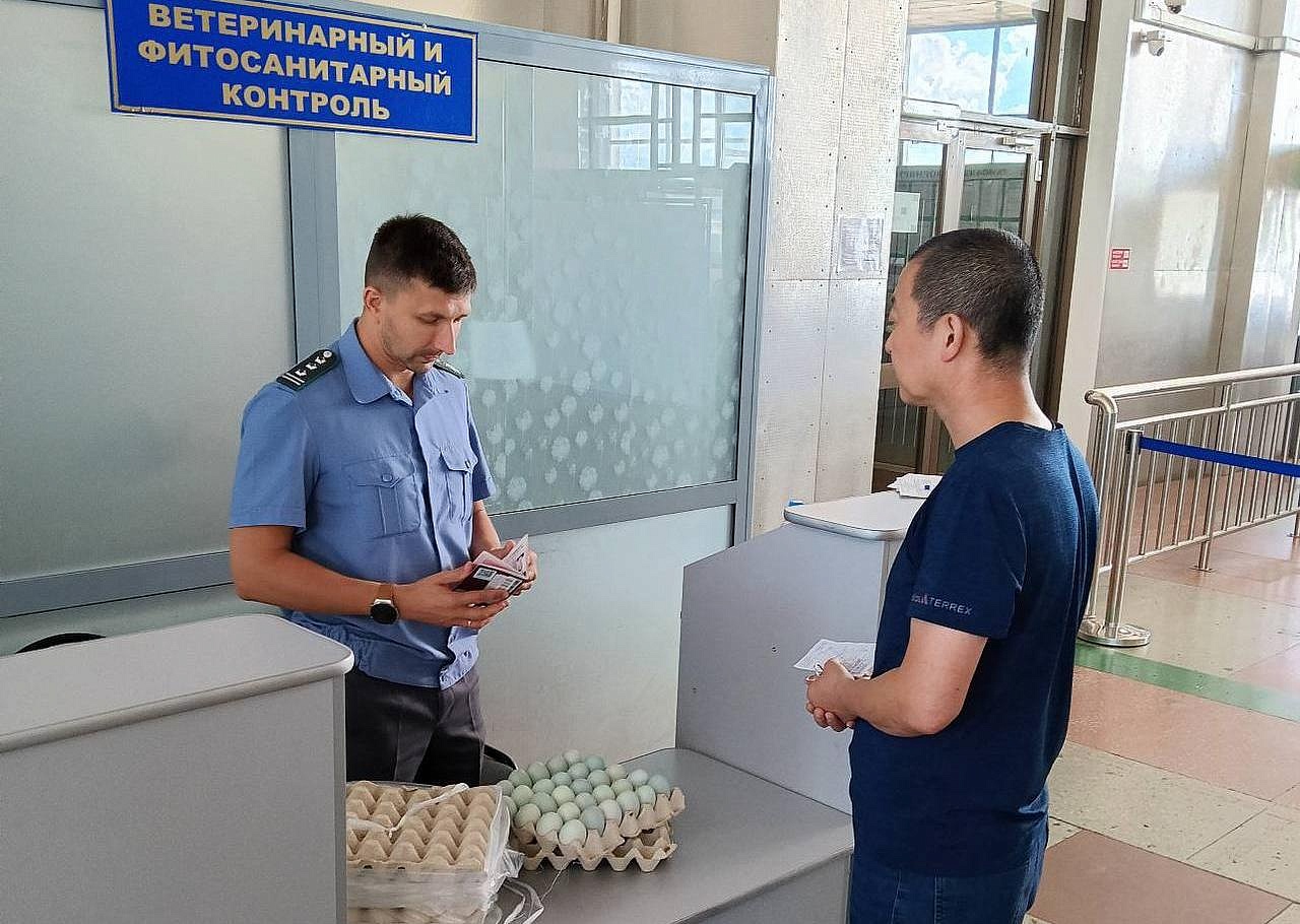 Фото: t.me/rsnamur