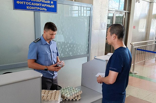 Россельхознадзор пресёк 19 попыток ввоза мяса в Приамурье из Китая без документов