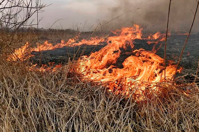Запрет на костры: в Благовещенске начался пожароопасный сезон
