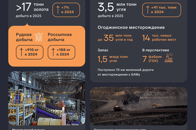 Василий Орлов: «Амурские золотодобытчики по итогам года получат больше 17 тонн золота»