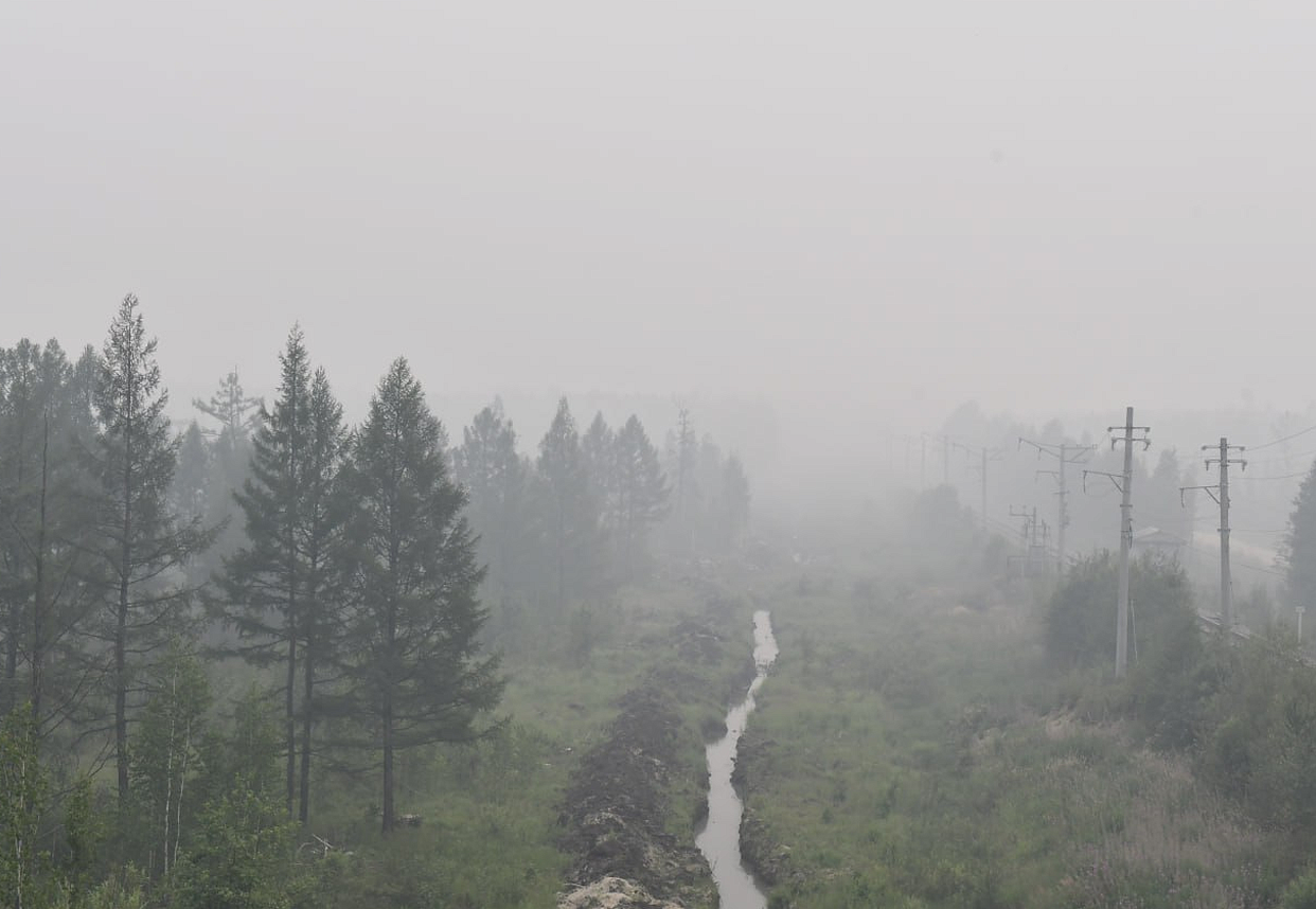 Фото: Амурские спасатели