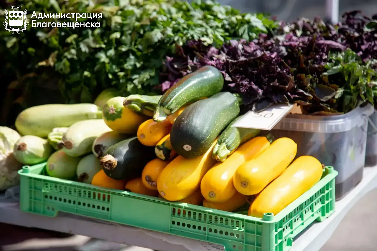 Фото: max.ru/blagoveshchensk_rf