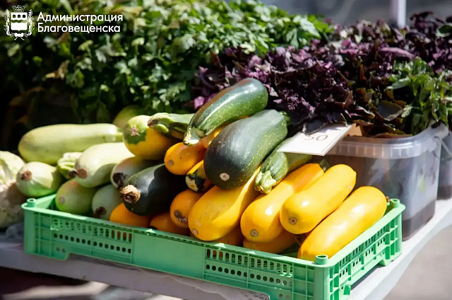 Цветы, парфюмерия и овощи: уличным торговцам в Благовещенске выписали штрафов на 200 тысяч рублей
