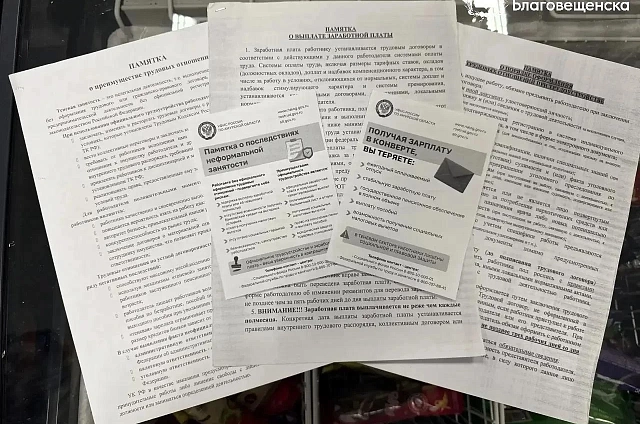 В Благовещенске провели 11 рейдов против нелегальной занятости