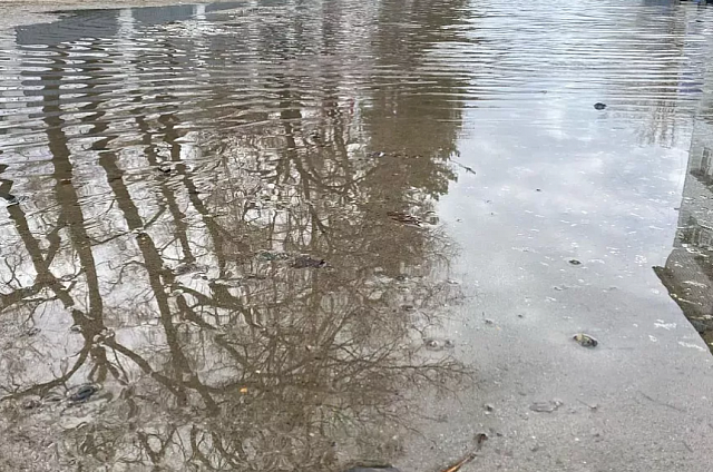 В среду в Приамурье продолжат лить дожди