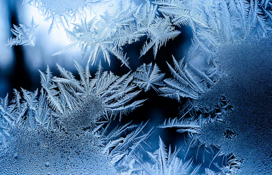 Фото: ru.freepik.com