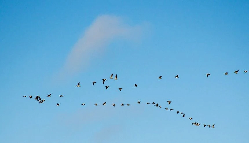 Фото: max.ru/id2801135236_gos