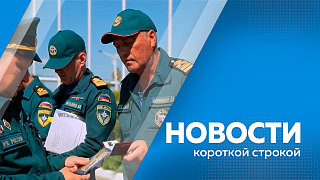 Новости короткой строкой. Василий Орлов посетил ремонтное подразделение, где служат амурчане. Международному автомобильному мосту между Россией и Китаем исполнилось четыре года. В Тындинском муниципальном округе заметили следы амурского тигра. 