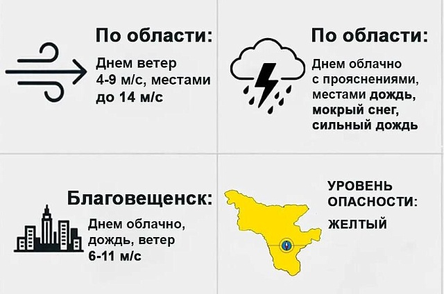 В Приамурье ожидают сильный ветер и мокрый снег