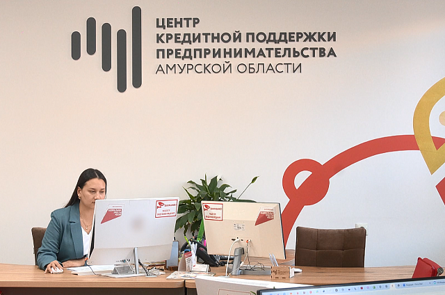 Центр кредитной поддержки предпринимательства Амурской области вошёл в топ-10 самых эффективных