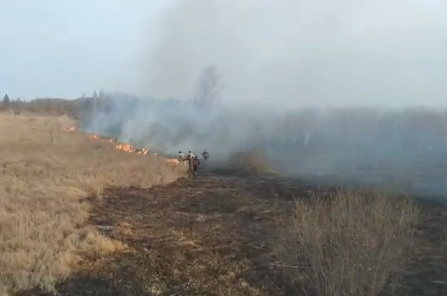 В понедельник в Приамурье зарегистрировали 6 природных пожаров, один из них остаётся действующим