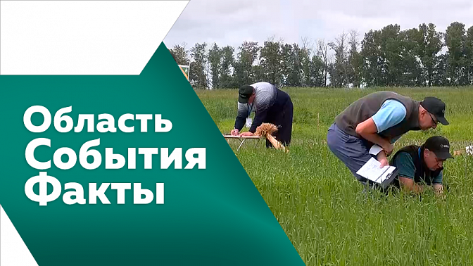 Область. События. Факты. В Амурской области подвели итоги отбора кадровой программы «Герои своего времени».  На картодроме Благовещенска проходит второй сезон Ночной лиги. Куда советуют отправится в путешествие амурские туроператоры.
