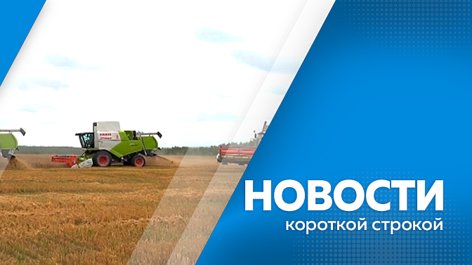Новости короткой строкой. Василий Орлов проверил готовность пункта пропуска «Кани-Курган» к увеличению грузопотока. В Амурской области впервые начали приём заявок на грантовую поддержку фермерских хозяйств. 