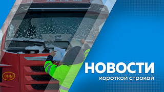 Новости короткой строкой. День Конституции. Новая выплата для многодетных семей. Итоги Года защитника Отечества. 160 семей получат арендные квартиры. Новые стоянки для большегрузов. Церемония возложения цветов.