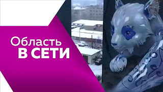 Область в сети. Кот-путешественник, бурейская русалка, панды на фоне заснеженных пейзажей