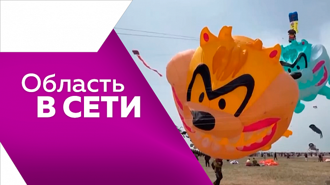 Область в сети. Воспоминания труженицы тыла, полюс холода, фестиваль воздушных змеев. 