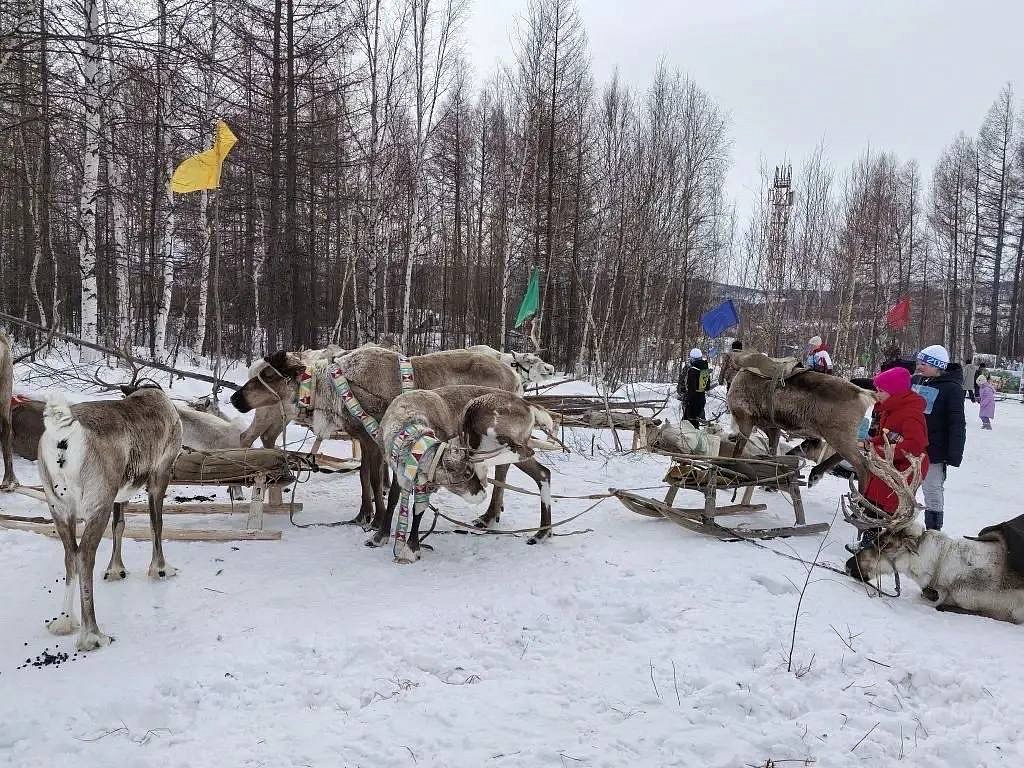 Фото: t.me/minkultamur