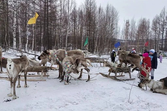 Обряды очищения и гонки на оленях: на севере Приамурья отметили День оленевода и охотника