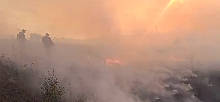 Фото: скриншот видео Амурский центр ГЗ и ПБ