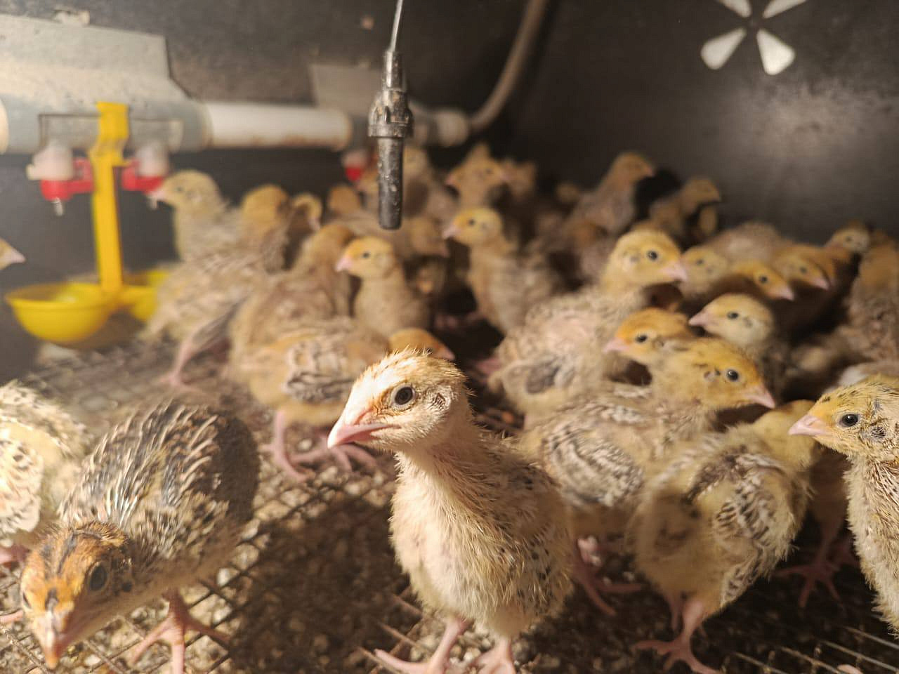 Фото: правительство Амурской области