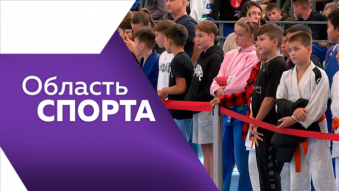 Область спорта. Баскетбол три на три, соревнования по дзюдо, осенний сезон занятий по волейболу для ветеранов СВО.