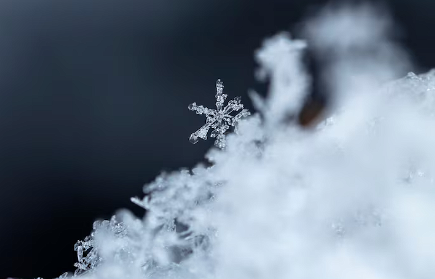 Фото: ru.freepik.com