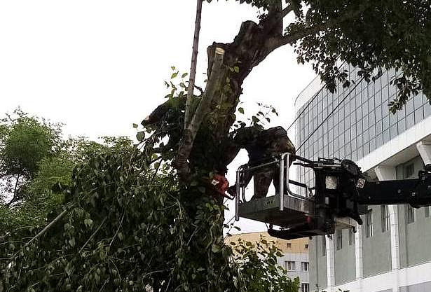 Фото: администрация Благовещенска