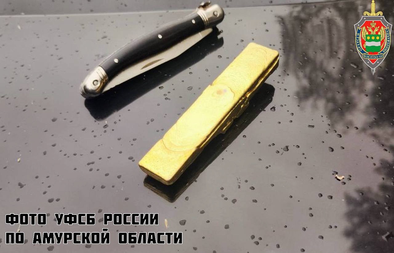 Фото: t.me/amur_sud