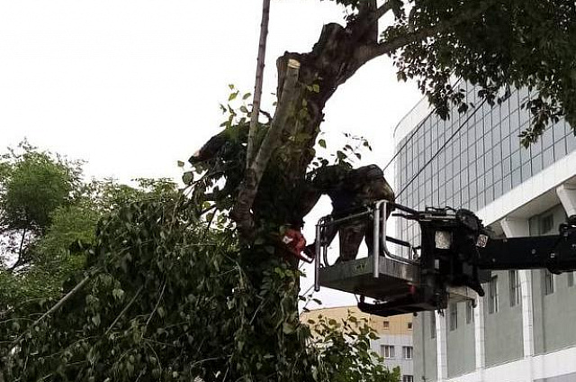 Последствия непогоды ликвидируют специалисты в областном центре