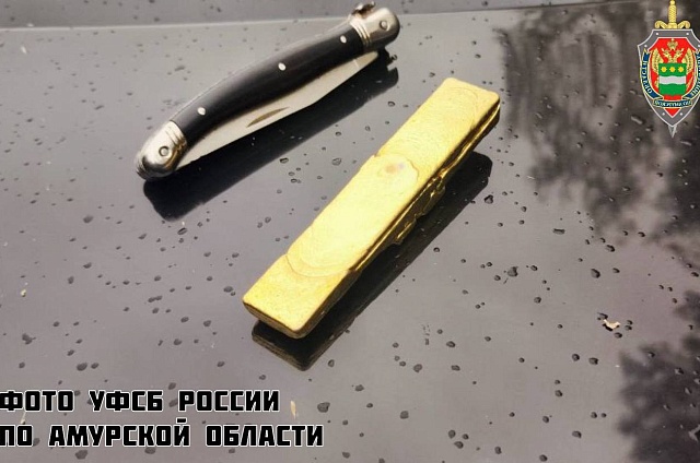 Золото под деревом: амурчанин поплатился за найденный в лесу слиток драгоценного металла 