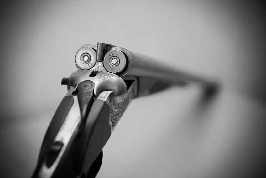 Фото: pixabay