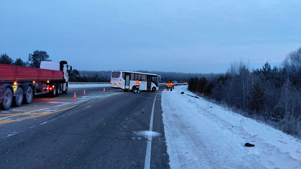 Фото: t.me/gibdd28