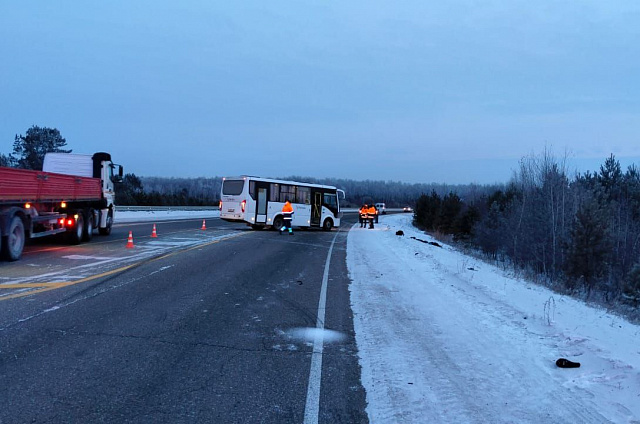 Трагедия на амурской трассе: пешеход погиб под колесами автобуса
