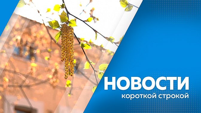 Новости короткой строкой. Василий Орлов встретился с исполняющим обязанности ректора АмГУ. Благовещенская полиция задержала подозреваемого в покушении на убийство несовершеннолетней. В Амурской области устанавливается летняя погода.