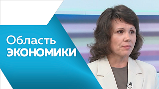 Область экономики. В Благовещенске появится новый автовокзал. Три участка региональной дороги ремонтируют по нацпроекту. В Приамурье поступило почти тысяча заявок на бесплатное переобучение.11 млрд рублей составил объём выданных в Приамурье микрозаймов.