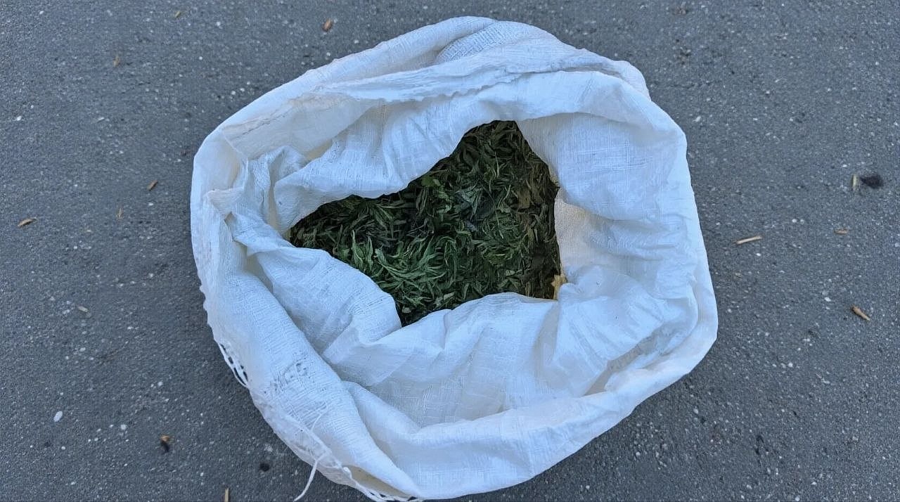 Фото: t.me/mvd_28_amur