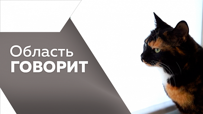 Область говорит. Корпоративные стандарты поддержки семей. Любителям мобильной езды на целый месяц запретили кататься на электросамокатах. Школьница из Верхней Полтавки Константиновского района стала чемпионкой Детской лиги первенства.