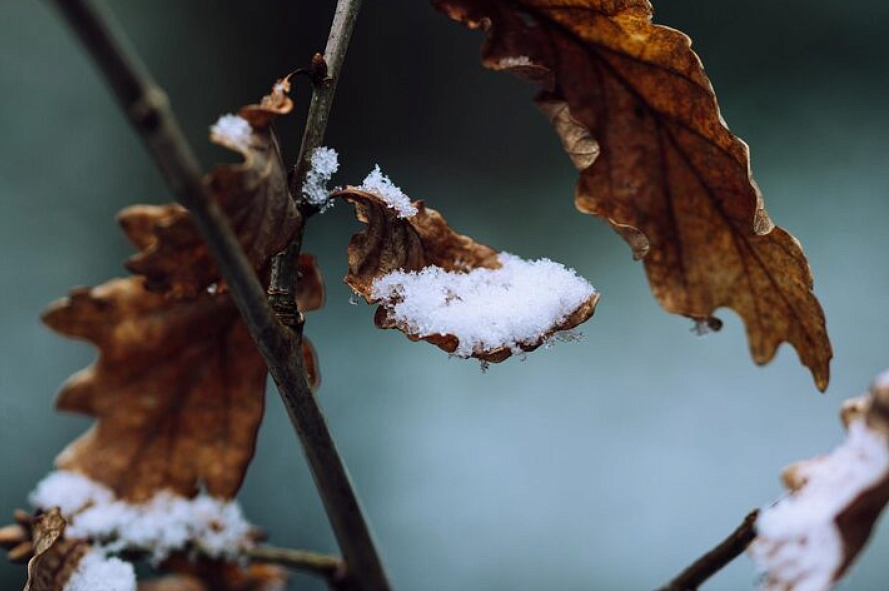 Фото: ru.freepik.com