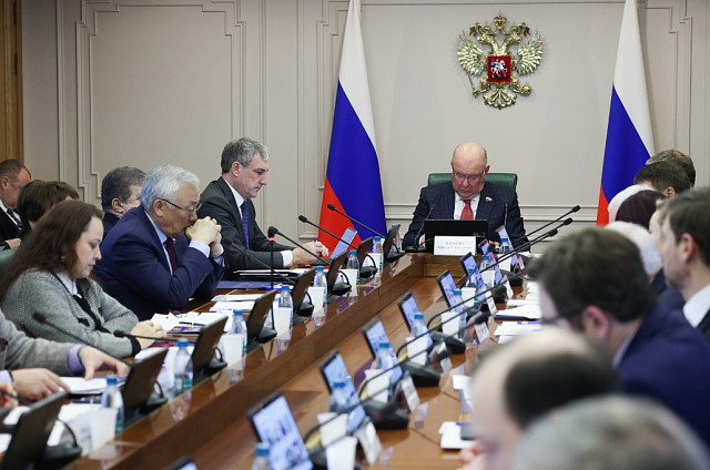 Амурская область представила стратегию сотрудничества с Китаем в Совете Федерации