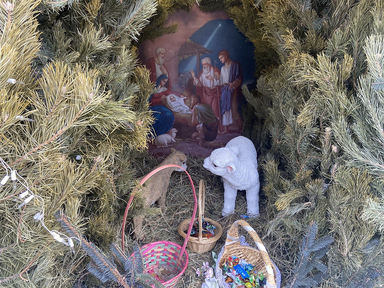 Фото: Татьяна Карпенко