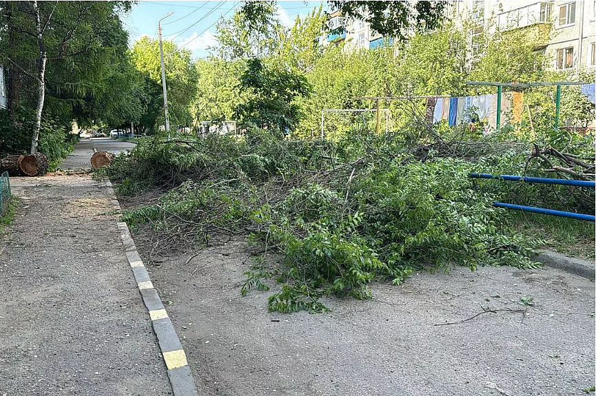 Фото: архив администрация Благовещенска