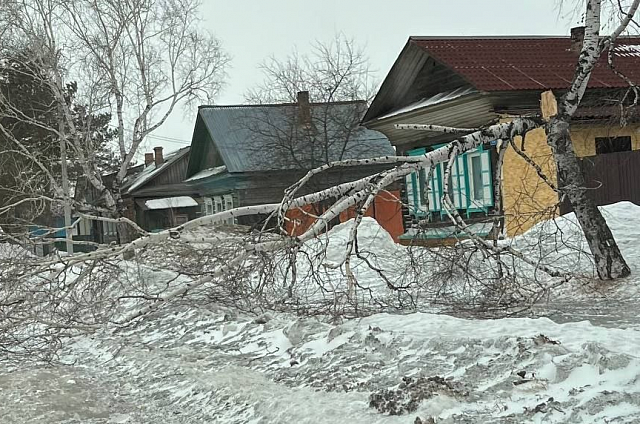 Снег и шквалистый ветер в марте стали причиной 25 аварий в Амурской области