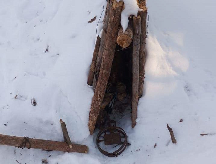 Фото: охотуправление Амурской области